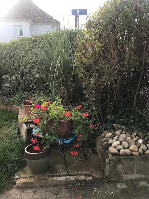 Appartement A La Decouverte De Strasbourg Bischheim Exteriör bild
